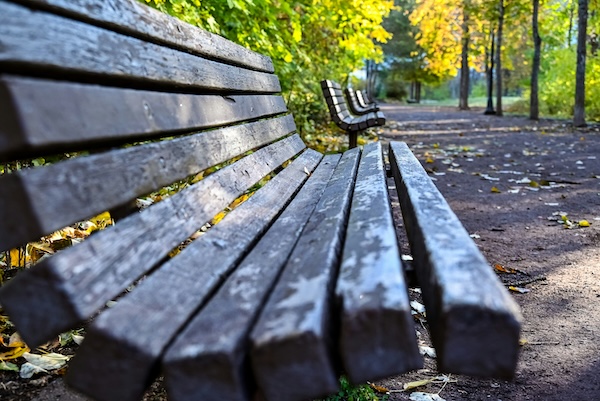 Bench in a Park