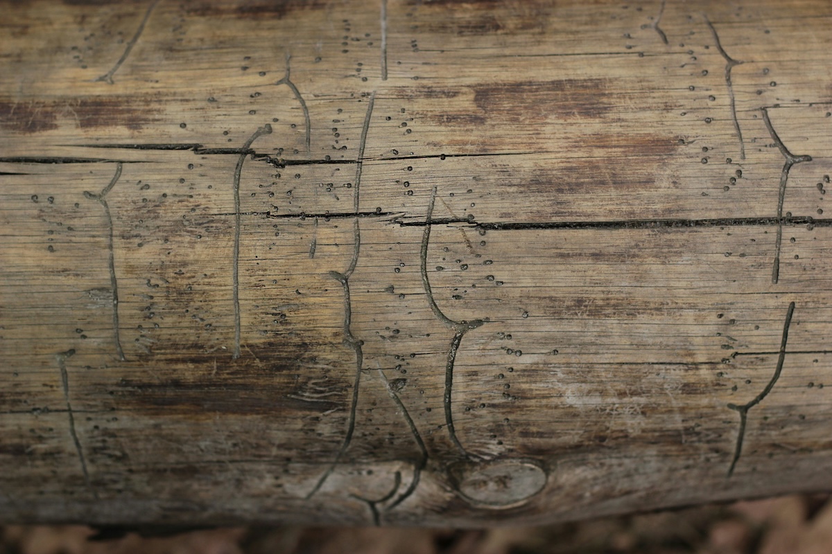 Marks on wood